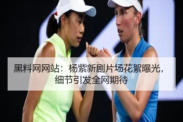 hei-liao-wang-wang-zhan-yang-zi-xin-ju-pian-chang-hua-xu-bao-guang-xi-jie-yin-fa-quan-wang-qi-dai-2-409.jpg